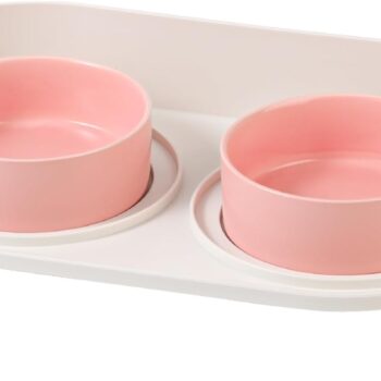 Elevated Ceramic Cat Bowl Set - Raised Double Dishes for Food & Water - Non-Slip Stand & Splash Proof - for Cats & Puppies - 2 x 480 ML - 16.23 OZ