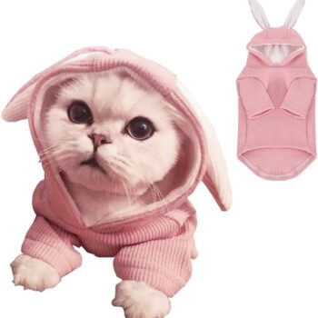 Dog Hoodies Sweatshirt with Bunny Ears Spring Puppy Clothes for Small Dog Girl Boy Soft Doggy Sweater Cat Apparel Pet Clothing for Kitten Pomeranian Chihuahua(X-Small, Pink)
