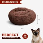 Cat Bed, Cat Beds for Indoor Cats Washable, Small Dog Bed Calming Pet Bed, Cat Beds & Furniture, Large Cat Bed, Kitty Kitten Bed