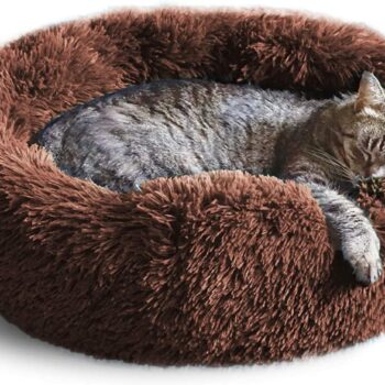 Cat Bed, Cat Beds for Indoor Cats Washable, Small Dog Bed Calming Pet Bed, Cat Beds & Furniture, Large Cat Bed, Kitty Kitten Bed
