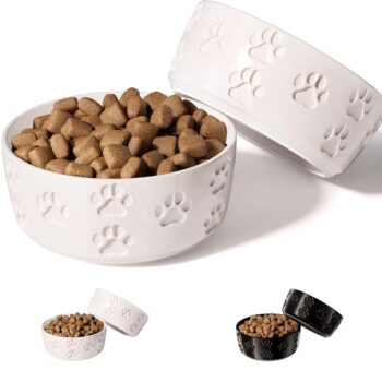 Ceramic Dog Bowl Set of 2 with Anti-Skid Base - 5" Wide x 2" Tall Ceramic Dog Bowls for Small Dogs - 2 Cup Capacity Food and Water Bowls for Dogs - Rubber Bottom Pet Bowl Set of 2 for Small Pets