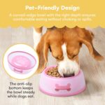 Non-Slip Plastic Dog Bowls - Non-Spill Feeding Station for Small to Medium Dogs - Durable Feeder for Puppies, Cat, Dog - Pet Food and Watering Supplies Accessories - Pink